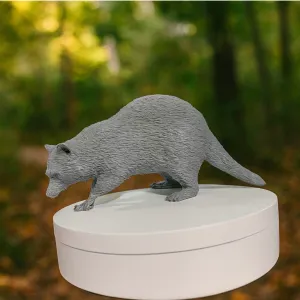 Racoon