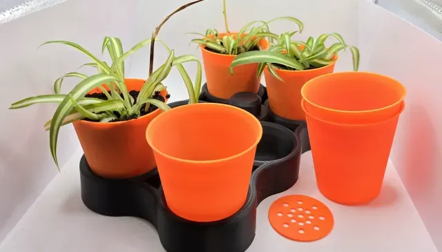SMALL SEEDLING PLANT POTS — Image 5 of 9