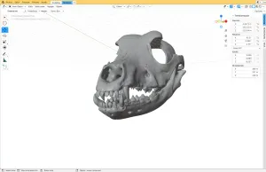 SKULL DOG HEAD