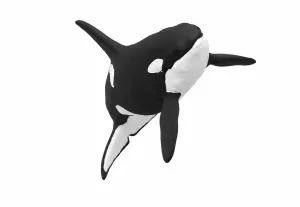 Orca | The Killer Whale