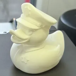 Duck Police