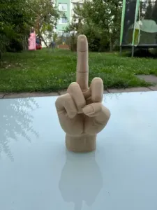 Raised middle finger hand gesture