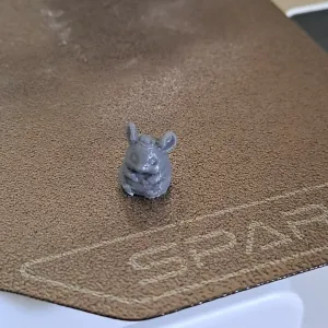 baby chinchilla