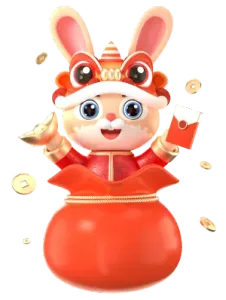 Year of the Rabbit-Money Bag
