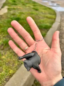cat key