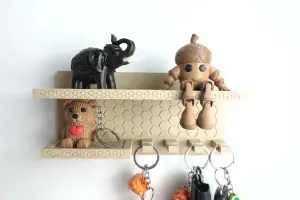 Entry Keys Holder Screw in-instalation