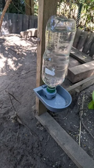 Chicken Water Dispenser