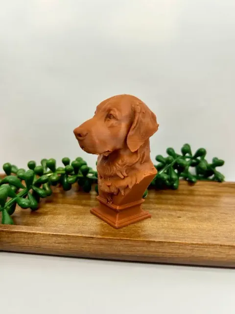 Golden Retriever Bust dog — Фото 2 из 4