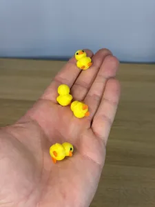 Mini Baby Duck