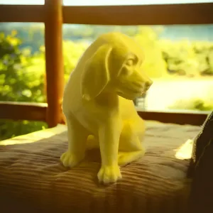 beagle puppy dog