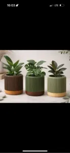 Горшки для растений 🌱
