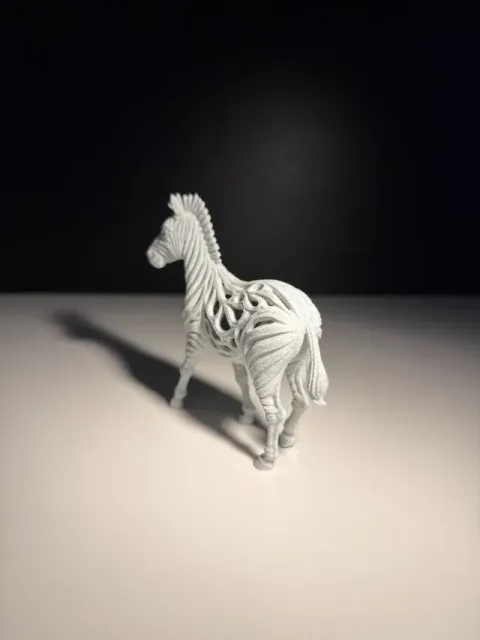 Zebra — Фото 4 из 5