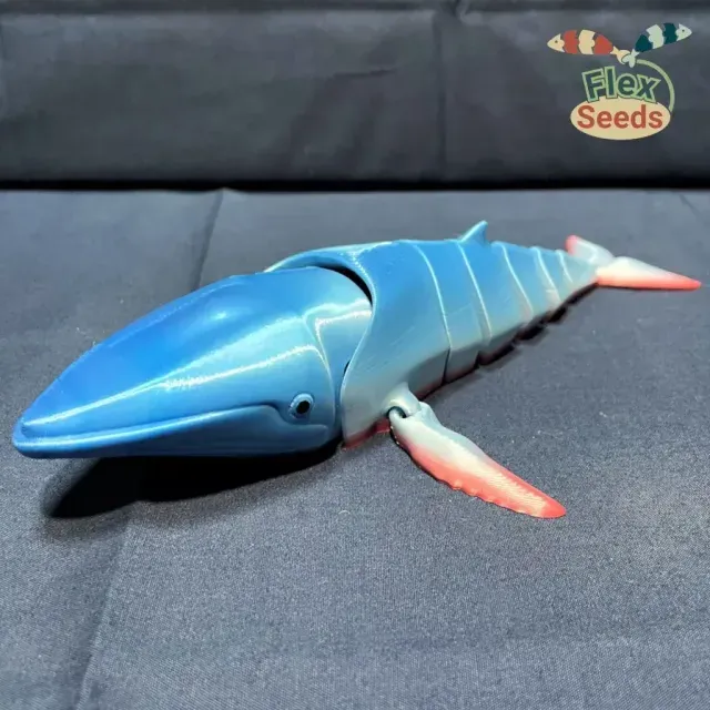 Flexi Humpback Whale (print-in-place) — Фото 8 из 9