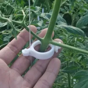 Trellis clip for garden