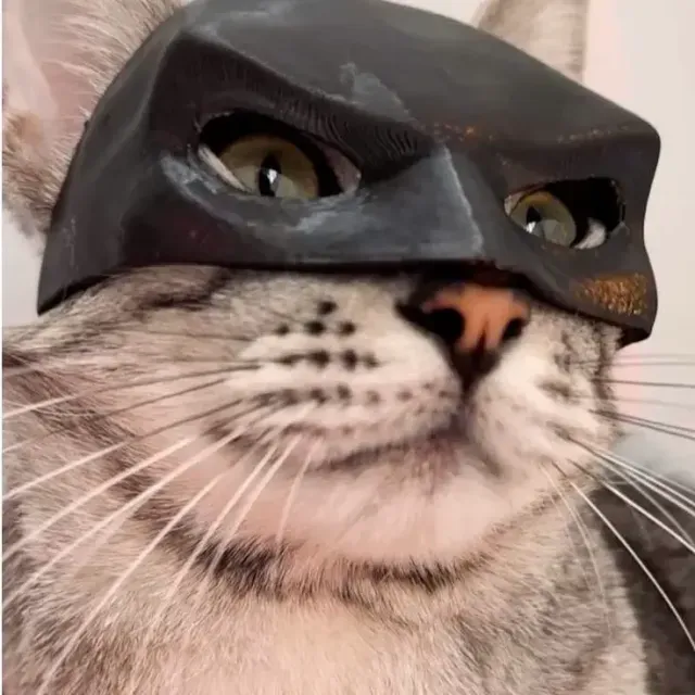 Cat Batman Mask
