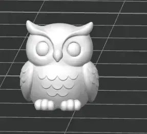 World's Smallest Owl