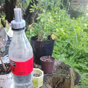 Regadera improvisada para suculentas / DIY watering spout