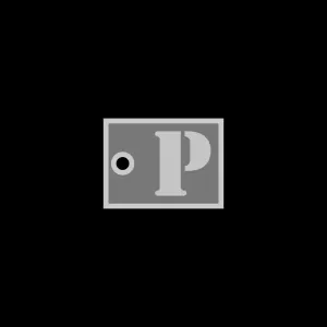 P_kaychain