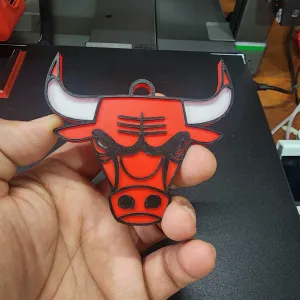 Chicago Bulls Keychain / Wall Art