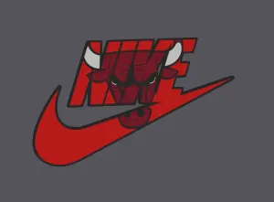 nike x chicago bulls magnet