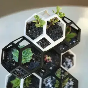 Plantygon - Modular Geometric Stacking Planter for Succulent