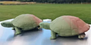 Mr & Mrs Turtle (Adult) Surprise Underside
