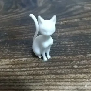 The cat's name is Sora