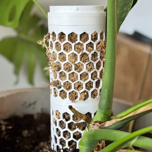 StackPole – Modular Self-Watering Moss Pole