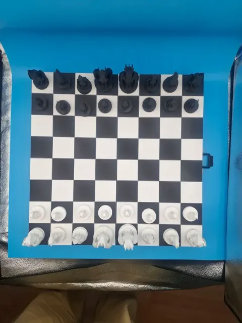 Dragon Chess Set - Premium Folding Board - No CFS — Фото 9 из 9
