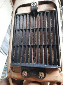 Radiator grille