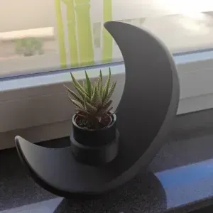 Decorative "Crescent Moon" Stand for Succulents and Crystals