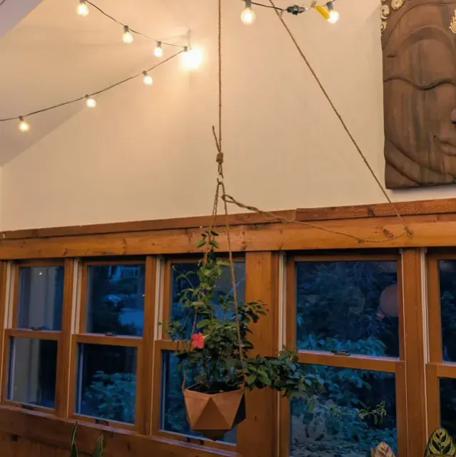 Icosahedron Hanging Planter — Фото 3 из 5