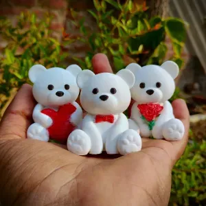Valentine's Special - Teddy Bear Collection
