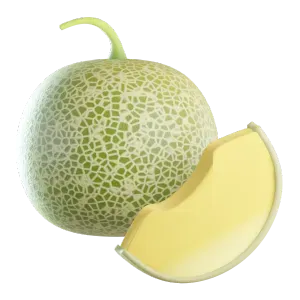 Cantaloupe