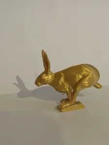 JackRabbit running