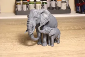 Elephant and calf