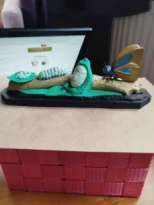 Butterfly Life Cycle – Educational Model