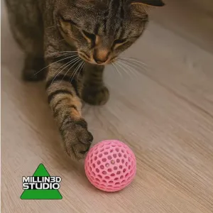 Kitty Cat Toy Ball - Watch them play for hours