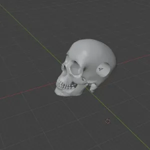 skull bead