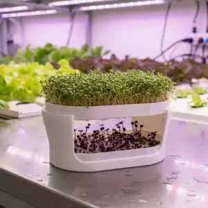 Planted Tiered