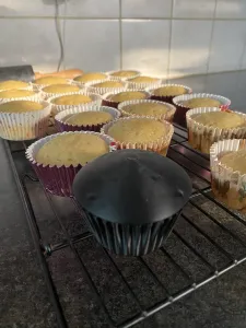 Simple Cupcake For Frosting Practice Decoration Baking Cake