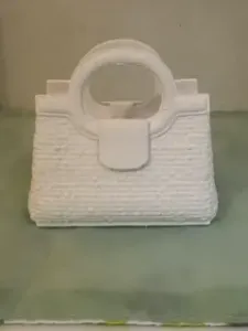 purse bag