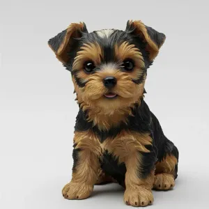 Puppy yorkshire terrier