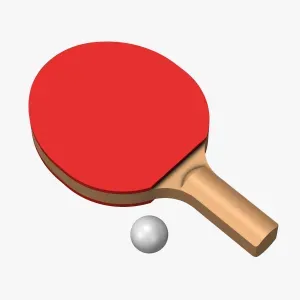 Table Tennis Bat