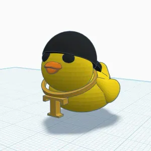 Mr. T Duck