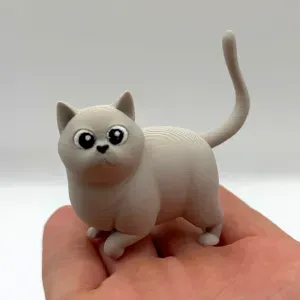 Woot Kitty