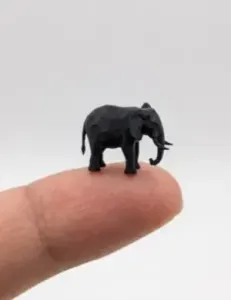 The smallest elephant in the world