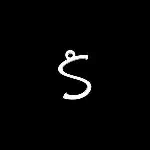 s keychain