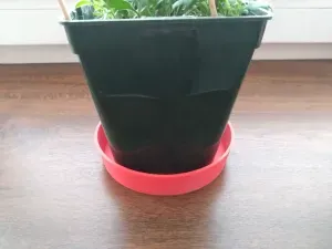 Flowerpot saucer