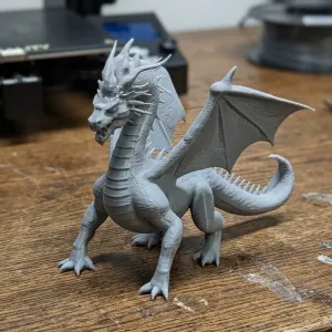 New dragon